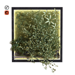 green wall set 044