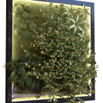 green wall set 044