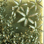 green wall set 044
