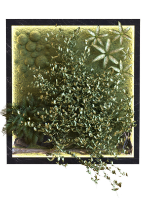 green wall set 044