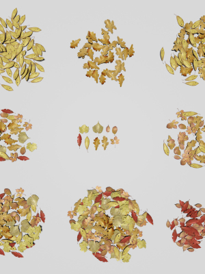 ground-leaves-pack-3d-model-low-poly-obj-fbx-blend-dae-abc-gltf