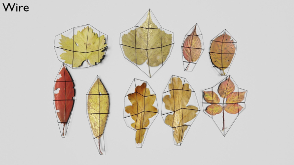 Ground Leaves Pack