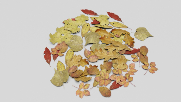 Ground Leaves Pack