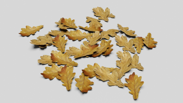Ground Leaves Pack