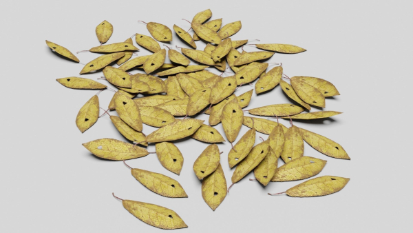 Ground Leaves Pack