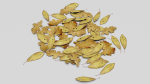 Ground Leaves Pack