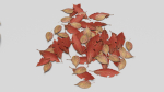 Ground Leaves Pack