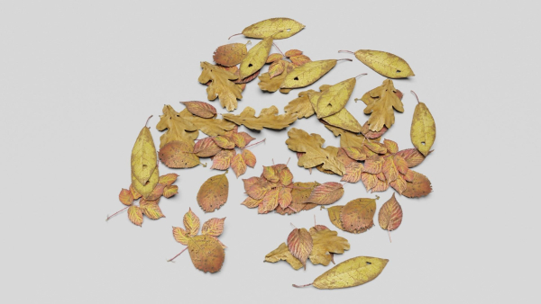 Ground Leaves Pack
