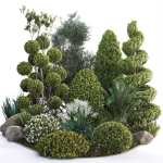 Group outdoor plants  Hedges 2