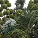 Group outdoor plants  Hedges 2