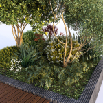 Group Plants with resting area
