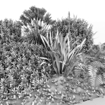 Group Plants with resting area