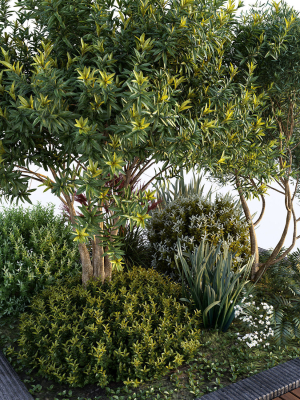 group-plants-with-resting-area-3d-model-e8fb90575d