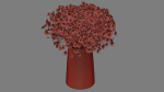 gypsophila