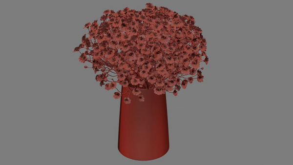 gypsophila