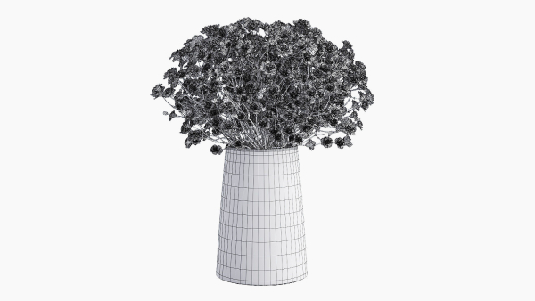 gypsophila