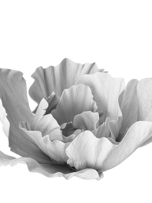 gypsum-flower-3d-model-max-obj-fbx