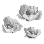Gypsum flower