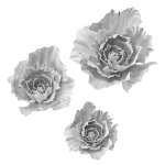 Gypsum flower