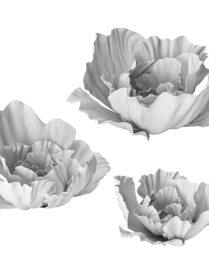 Gypsum flower