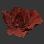 Gypsum flower