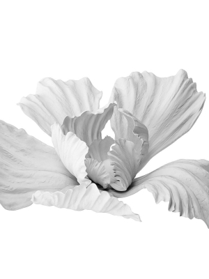Gypsum flower
