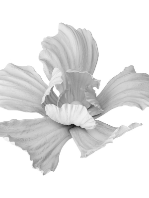 gypsum-flower-3d-model-max-obj-fbx