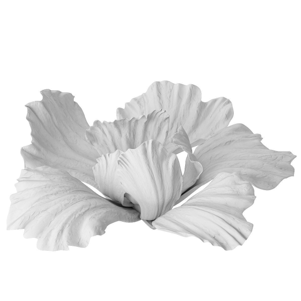 Gypsum flower
