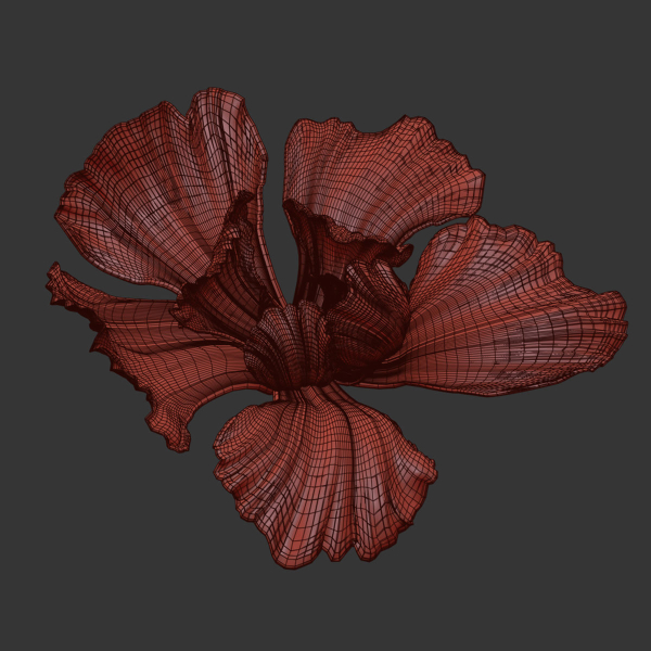 Gypsum flower