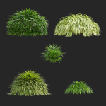 Hakonechloa macra vol 4
