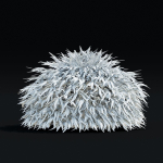Hakonechloa macra vol 4
