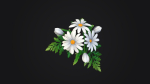 Handpainted Stylized Daisies