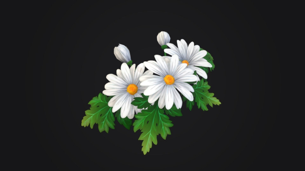 Handpainted Stylized Daisies