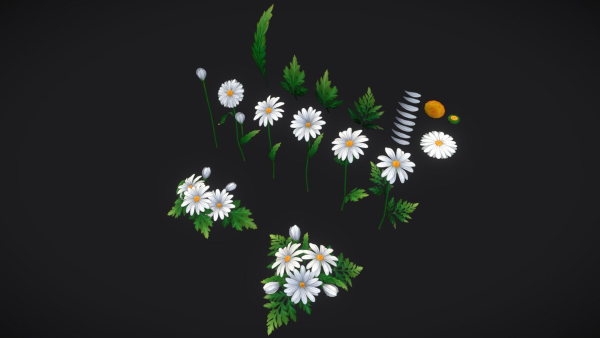 Handpainted Stylized Daisies
