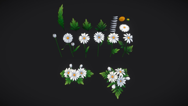 Handpainted Stylized Daisies