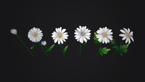 Handpainted Stylized Daisies