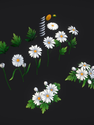 Handpainted Stylized Daisies