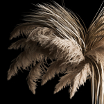 Hanging Bouquet Of Dry Reeds For Decoration 266