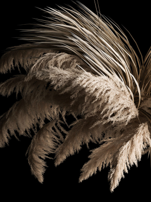hanging-bouquet-of-dry-reeds-for-decoration-266-3d-model-max-obj-fbx