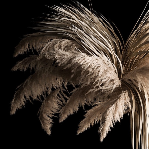 Hanging Bouquet Of Dry Reeds For Decoration 266