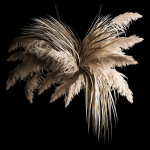 Hanging Bouquet Of Dry Reeds For Decoration 266