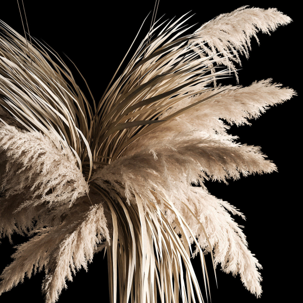 Hanging Bouquet Of Dry Reeds For Decoration 266