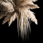 Hanging Bouquet Of Dry Reeds For Decoration 266