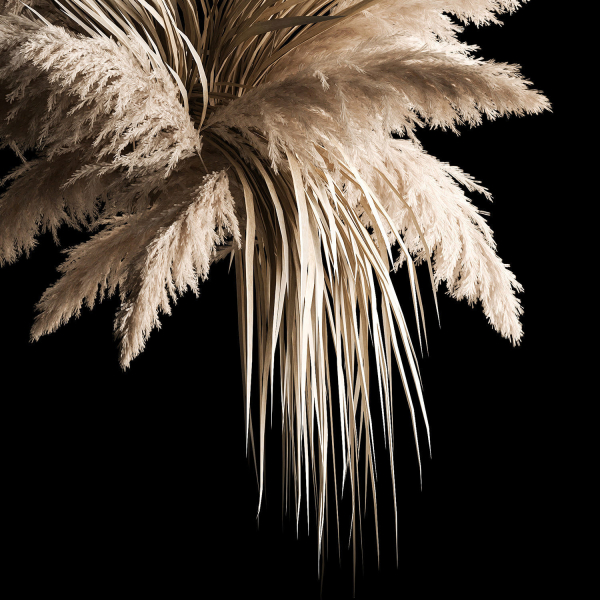 Hanging Bouquet Of Dry Reeds For Decoration 266