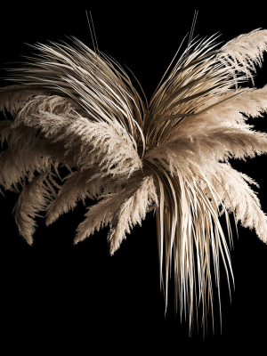 Hanging Bouquet Of Dry Reeds For Decoration 266