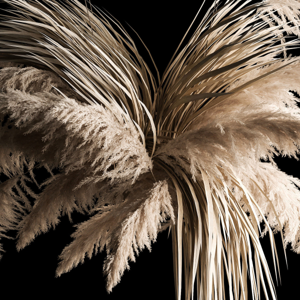 Hanging Bouquet Of Dry Reeds For Decoration 266