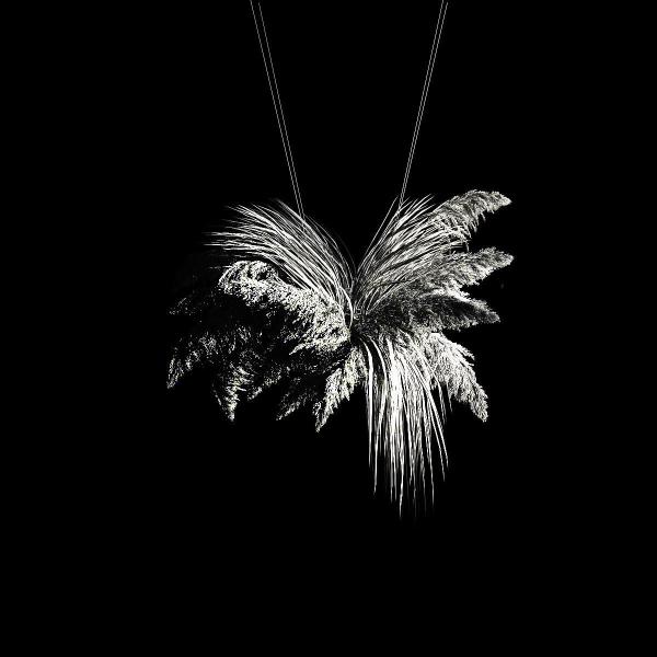 Hanging Bouquet Of Dry Reeds For Decoration 266