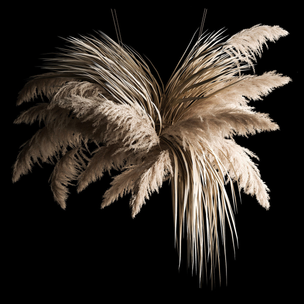 Hanging Bouquet Of Dry Reeds For Decoration 266