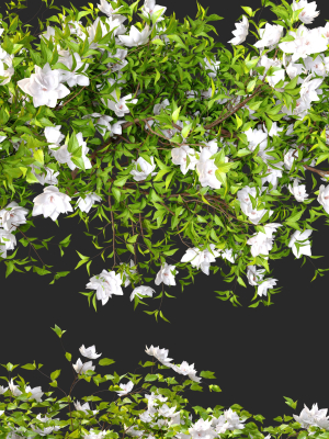 hanging-plant-15-3d-model-max-fbx-mat