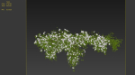 Hanging Plant 15